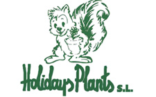 Holidays Plant